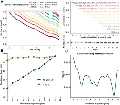 Dynamic estimates of survival of patients with poorly differentiated thyroid carcinoma: a population-based study